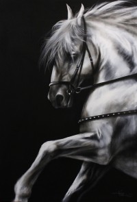 Irfan Ahmed, 24 x 36 Inch, Oil on Canvas, Horse Painting, AC-IRA-029